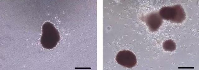 1531997642924378dQB6.png 123.png