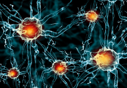 1532045475580547XDsy.png 圖片7.png