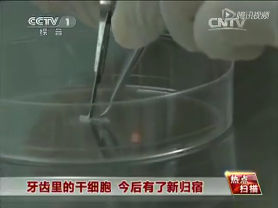 1531992428649951ZTKR.png image.png