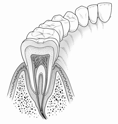 1538275149666622SacJ.png 圖片2.png